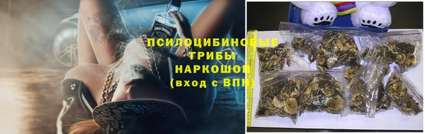 дживик Армянск
